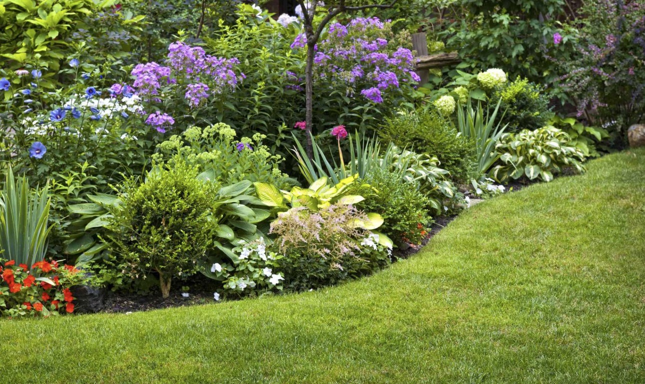 Lawn Care & Maintenance service in Hacienda Heights, CA