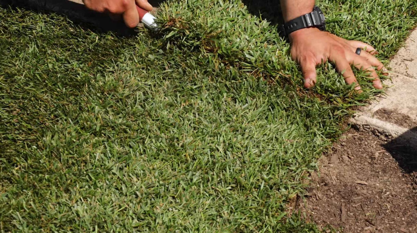 Sod Installation & Lawn Renovation service in Hacienda Heights, CA